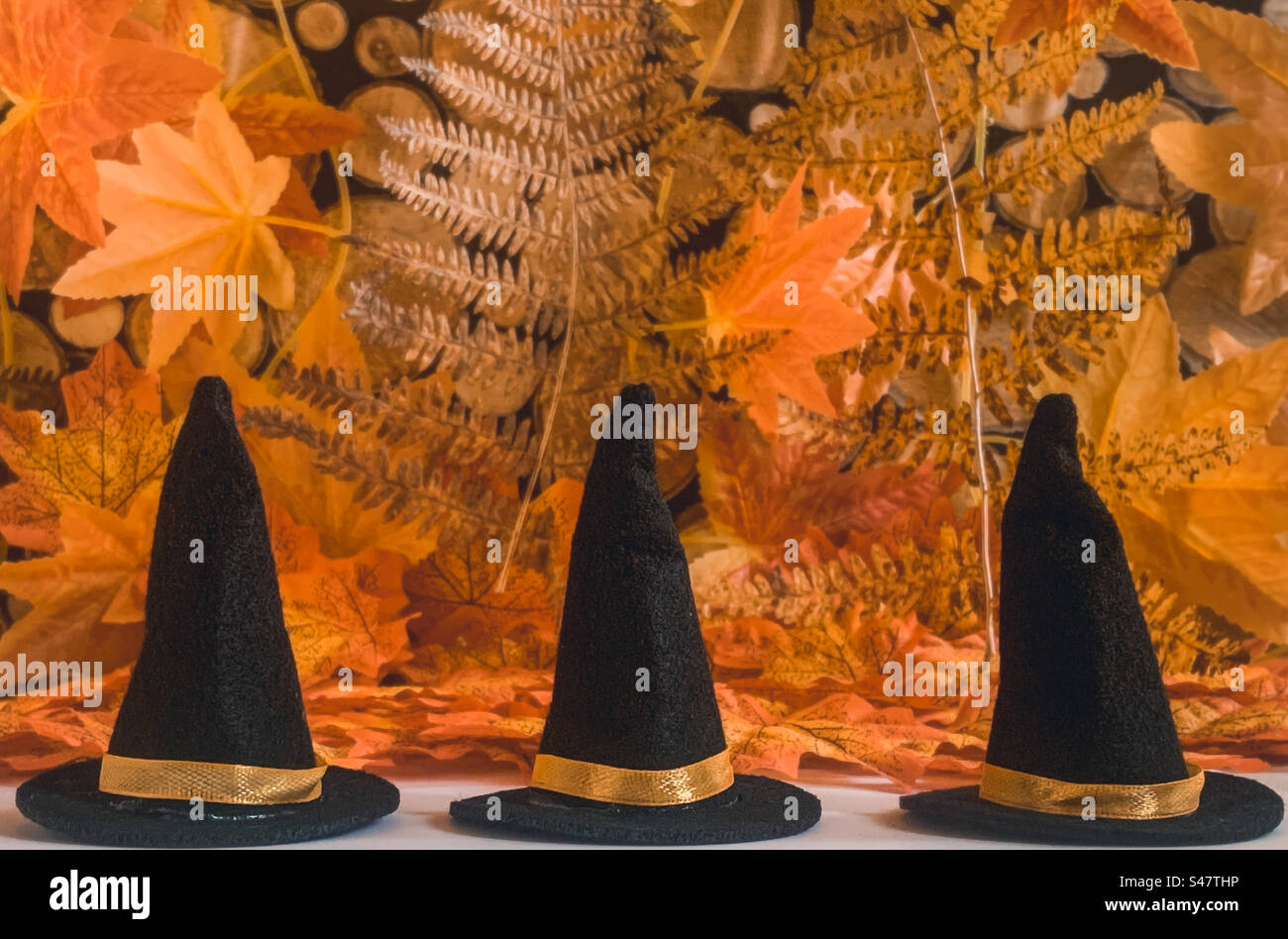 3 witches hats against an autumnal background - Smartphone Captured Stock Image