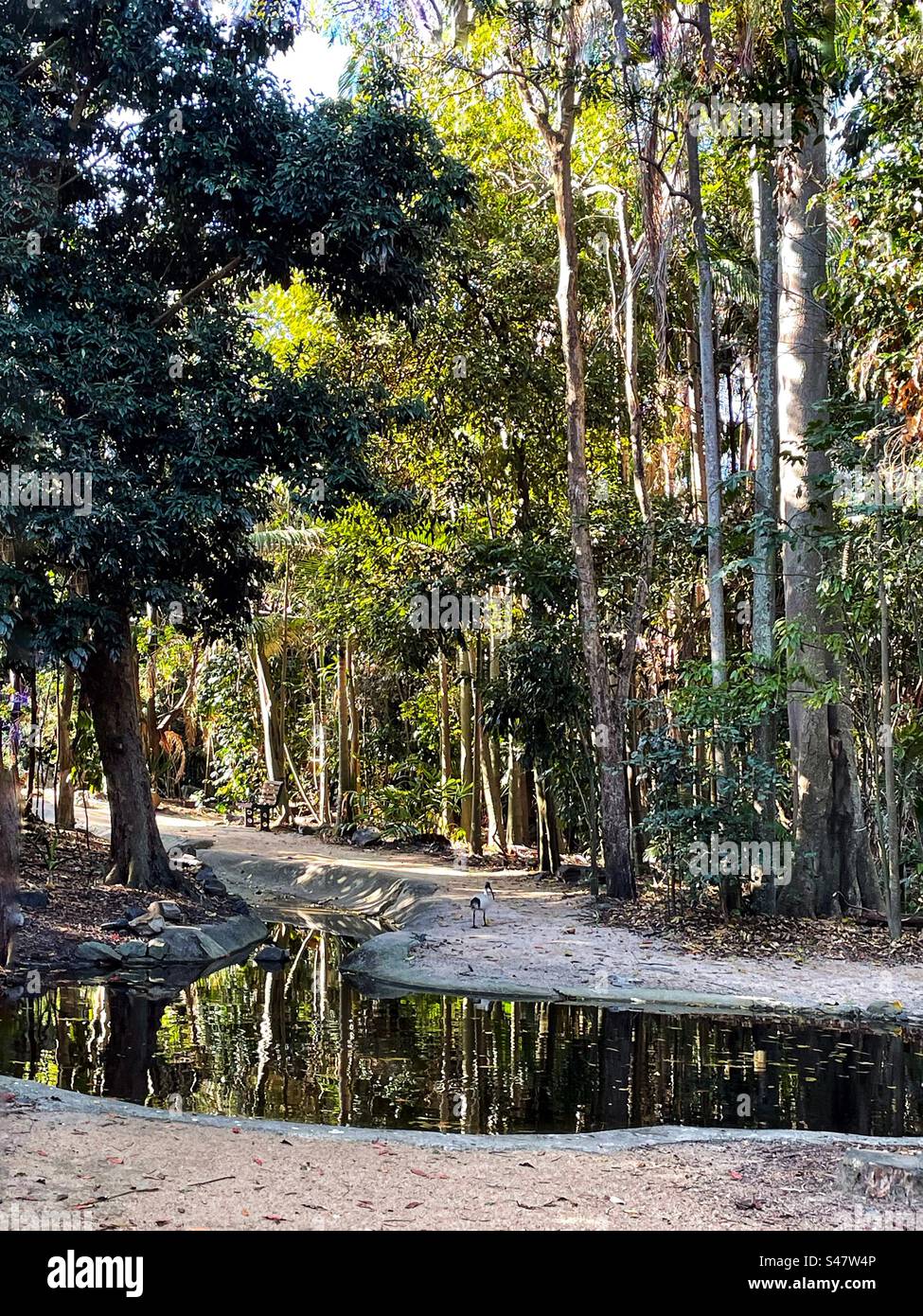 Rainforest garden hires stock photography and images Alamy