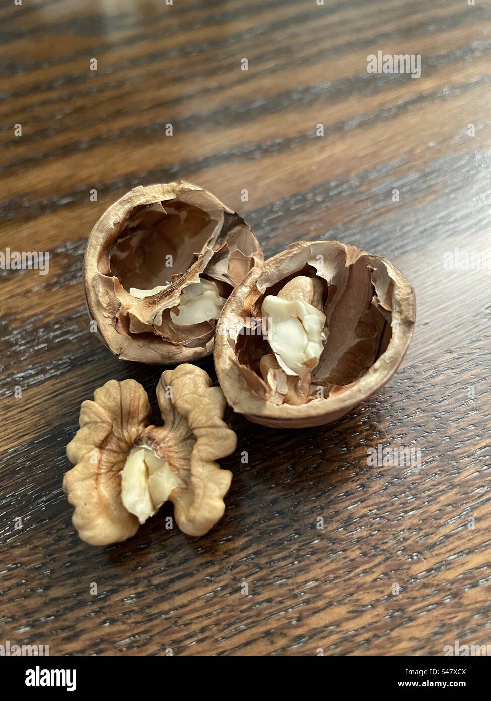 A cracked walnut as still life. - Smartphone Captured Stock Image