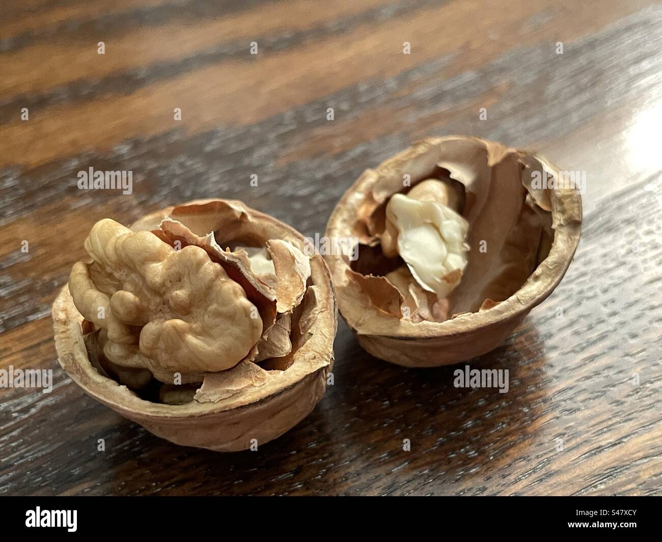 A cracked walnut as still life. - Smartphone Captured Stock Image