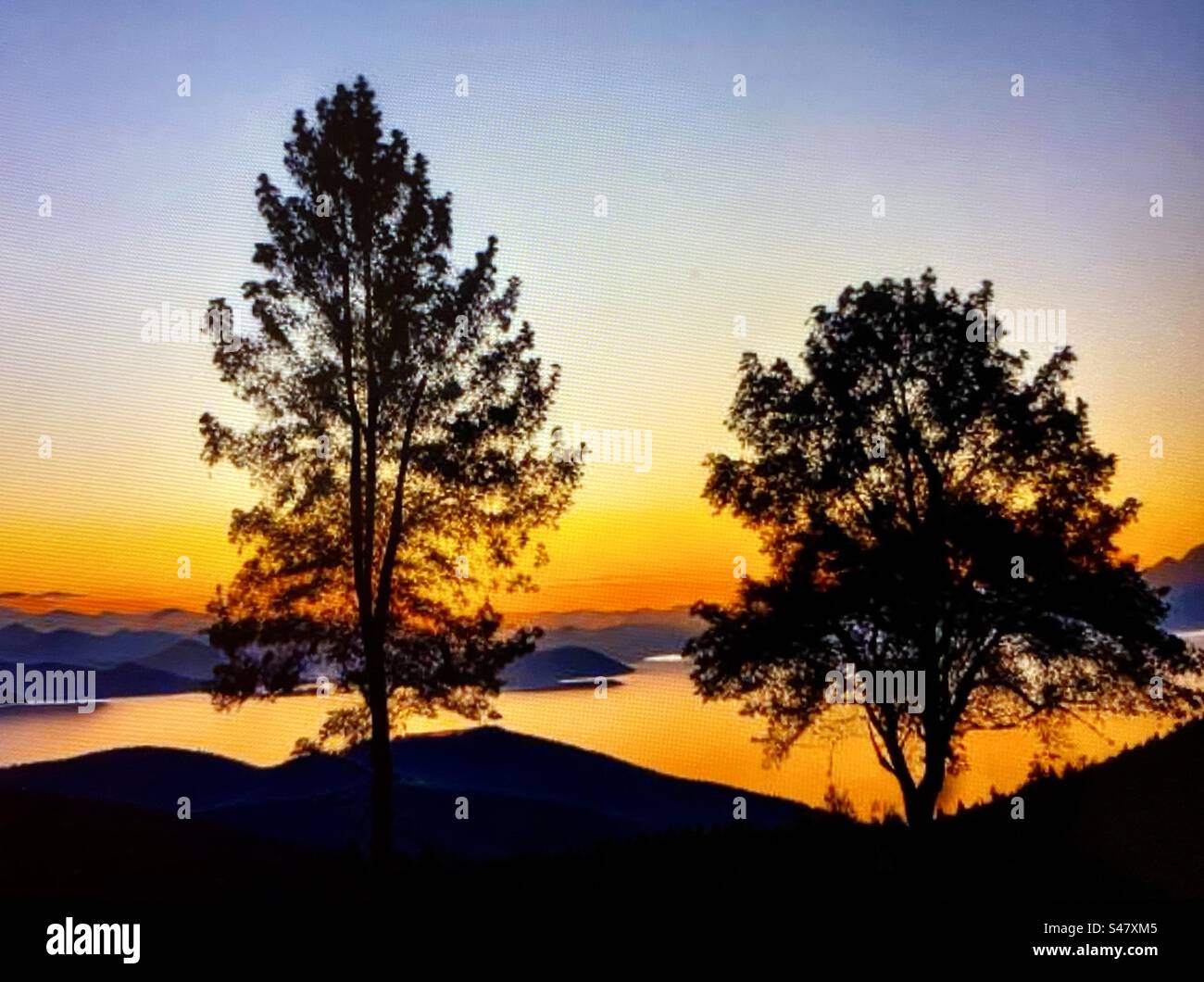 Silhouette of two trees overlooking the sea at sunset Stock Photo