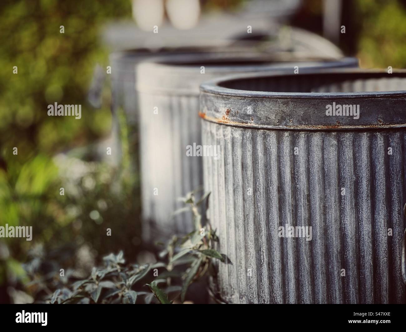 Close up of galvanised metal bins in garden - Smartphone Captured Stock Image