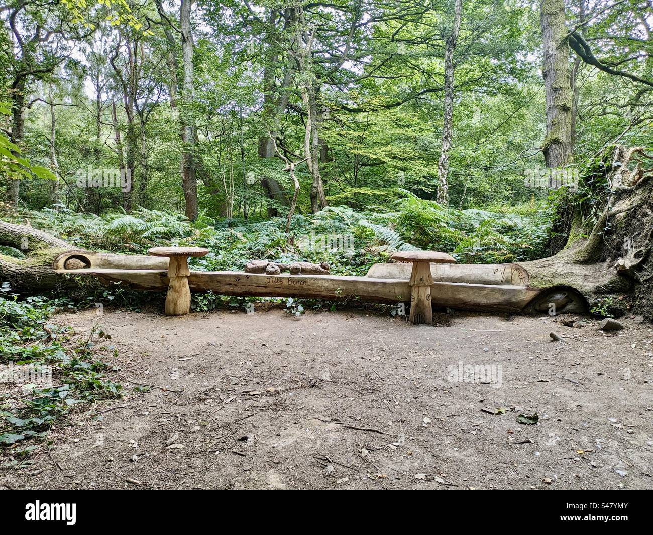 Fallen tree felled bench art sculpture Walking on a path wood tree countryside nature trees plant plants English park outside south of England 11-10-23 Stock Photo