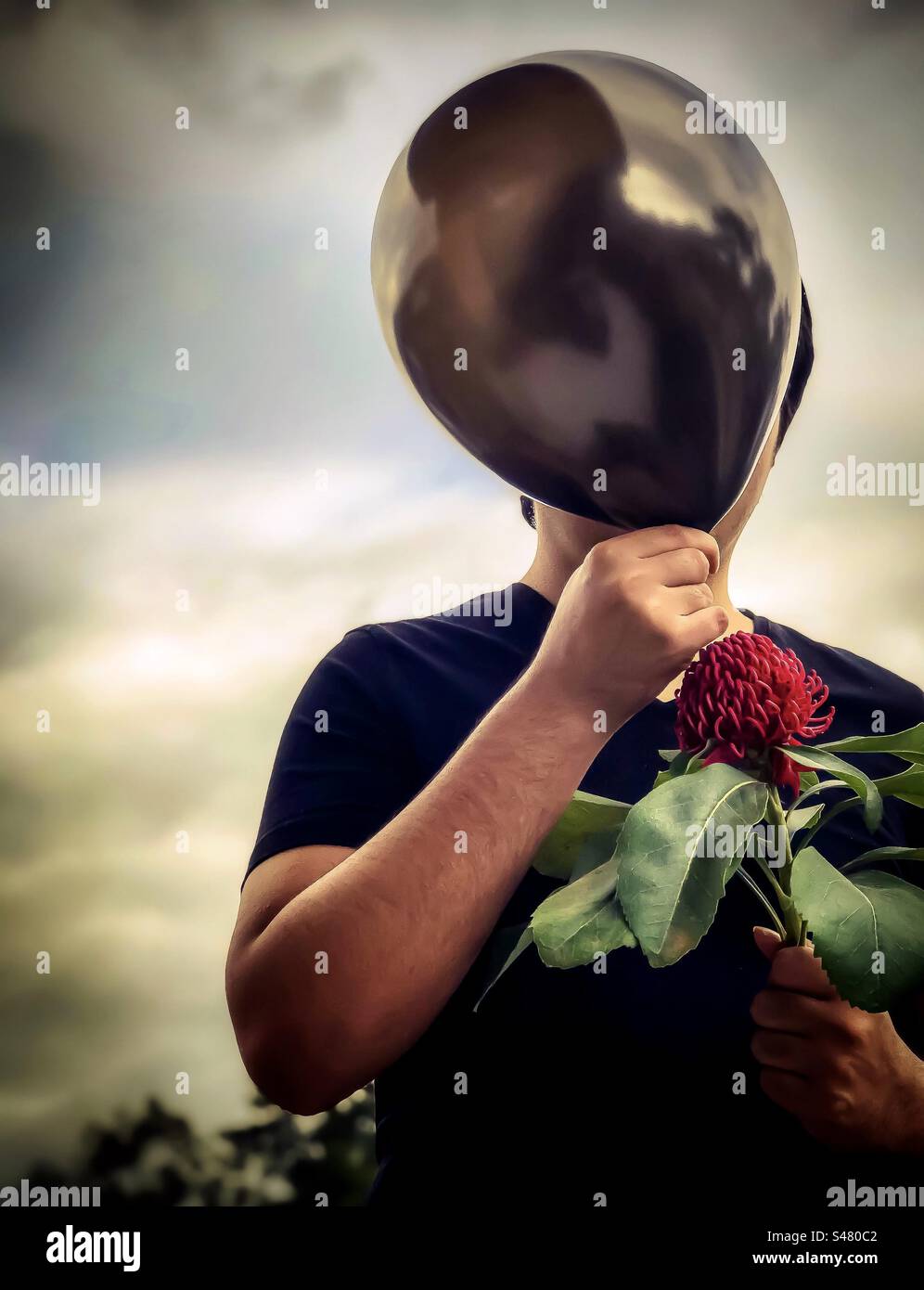 Portrait of young adult man holding a black balloon and a red waratah/Telopea flower against a dramatic, cloudy sky. Obscured face. - Smartphone Captured Stock Image