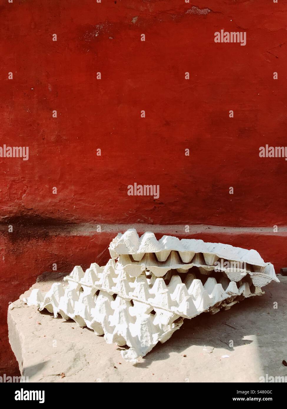 Empty egg cartons Stock Photo