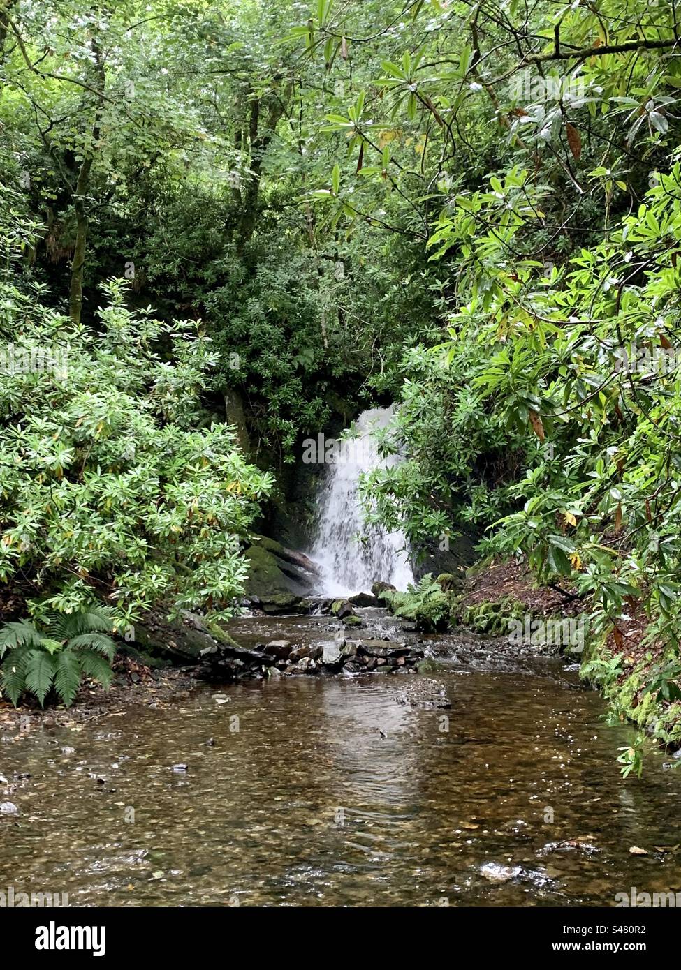 Woodland waterfall hi-res stock photography and images - Alamy