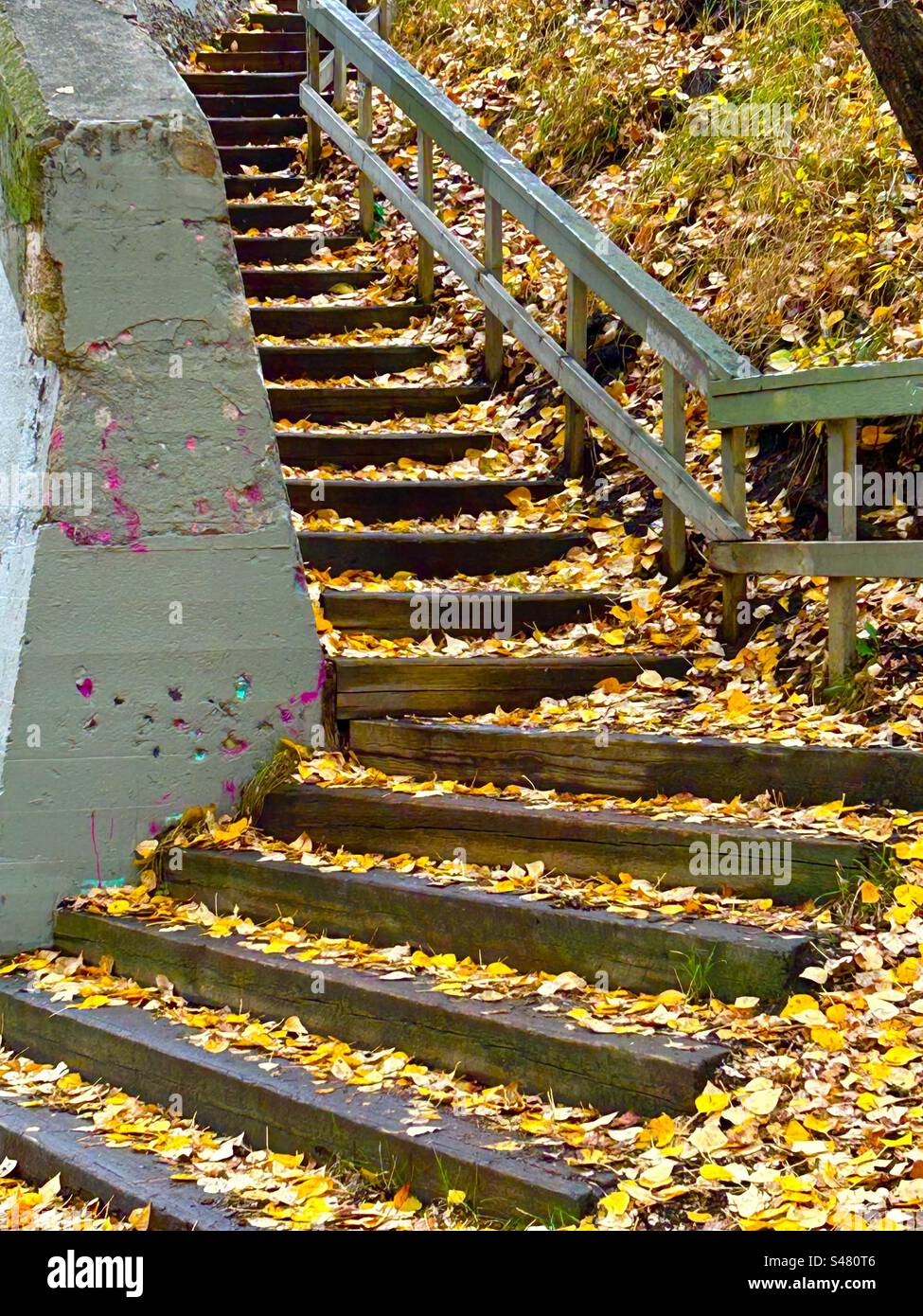 Stairway in autumn, Elbow River Pathway, - Smartphone Captured Stock Image