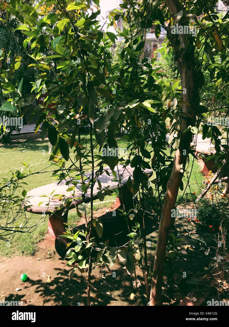 A garden seat at a hotel with trees all around - Smartphone Captured Stock Image