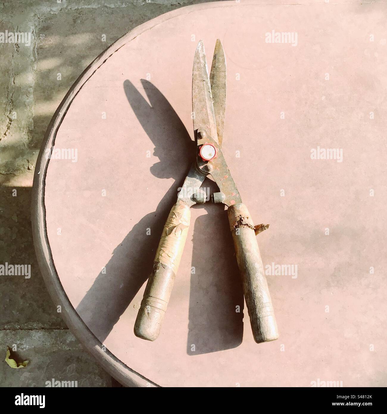 Top view of garden scissors - Smartphone Captured Stock Image