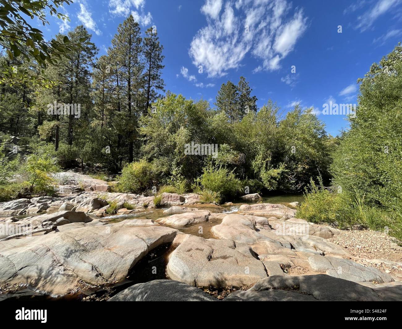 Ellison Creek, Water Wheel falls trail, pink granite rocks, early fall