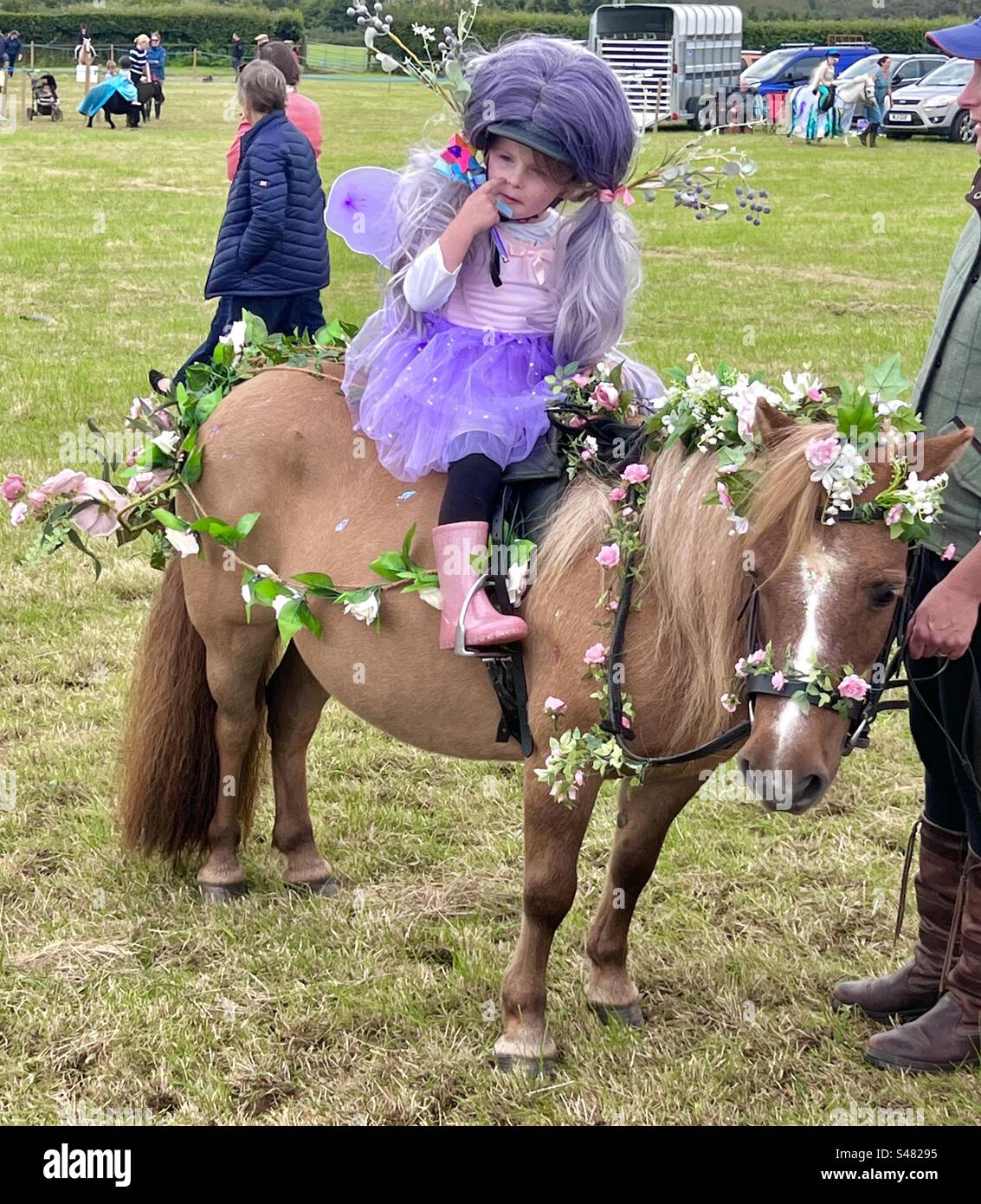Pony dress cheap