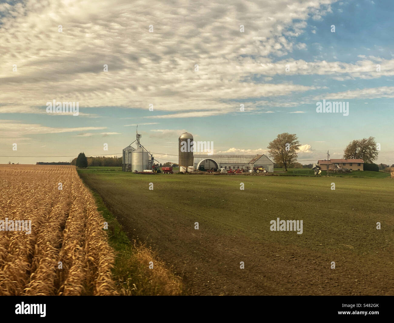 A farm with rows of crops - Smartphone Captured Stock Image