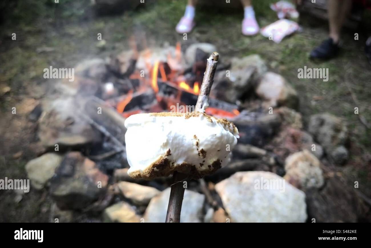 Toasted Marshmallow Stock Photo