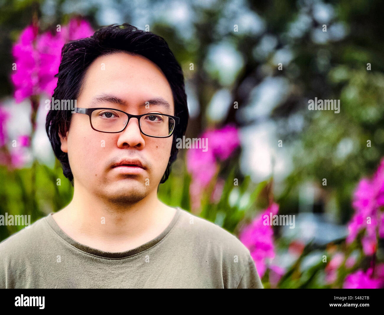 Portrait of young Asian man in eyeglasses against pink flowering lily plants in springtime. Focus on foreground. Vision care. Season. - Smartphone Captured Stock Image