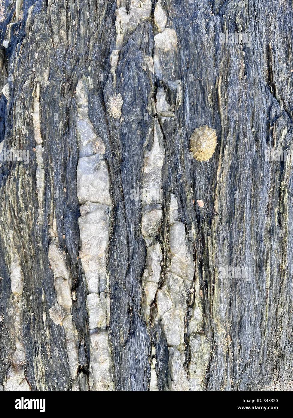 Devon coastal rocks - Smartphone Captured Stock Image