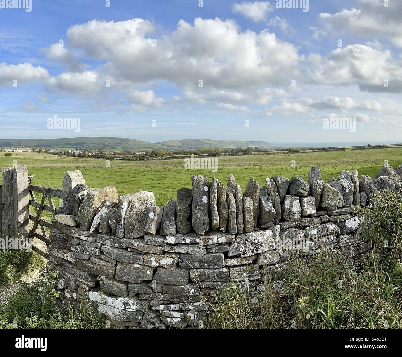 Dorset drystone wall - Smartphone Captured Stock Image