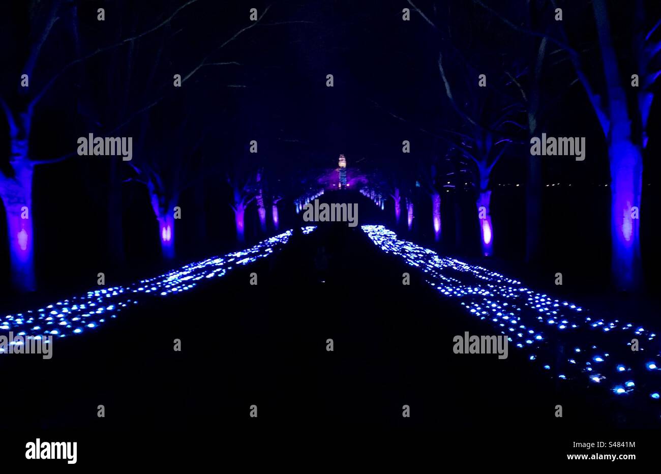 Light trail show at Hatfield house Stock Photo Alamy