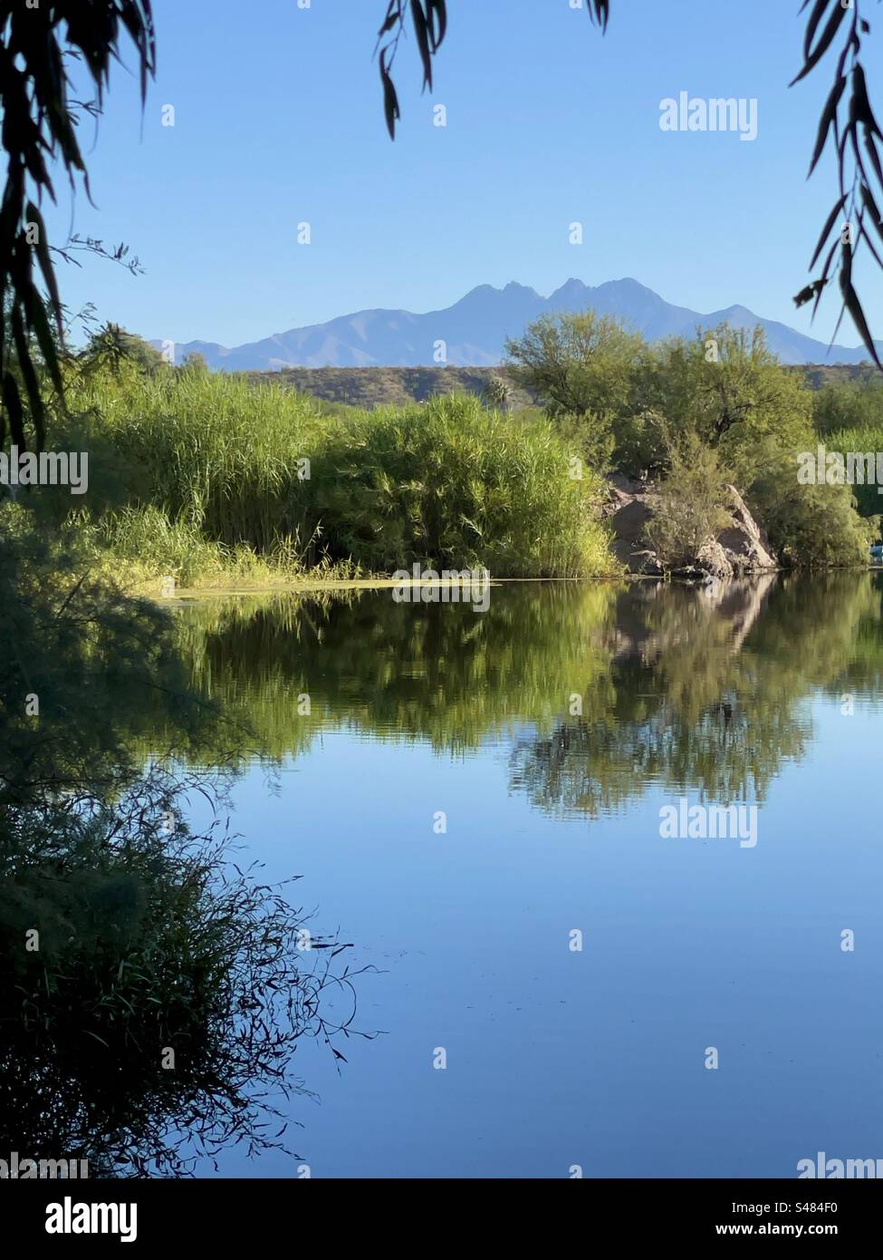 Salt River reflections, Four Peaks Mountain, fall golden colors