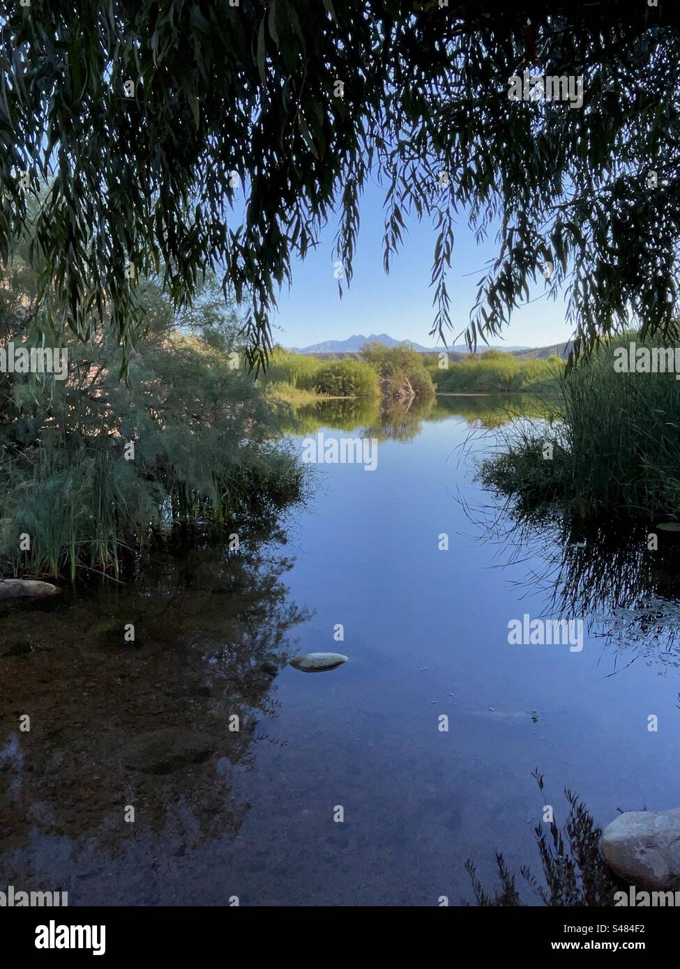 Salt River reflections, Four Peaks Mountain, fall golden colors