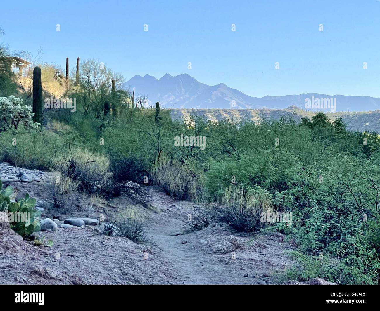 Salt River hiking trail, Four Peaks Mountain, granite boulders, desert