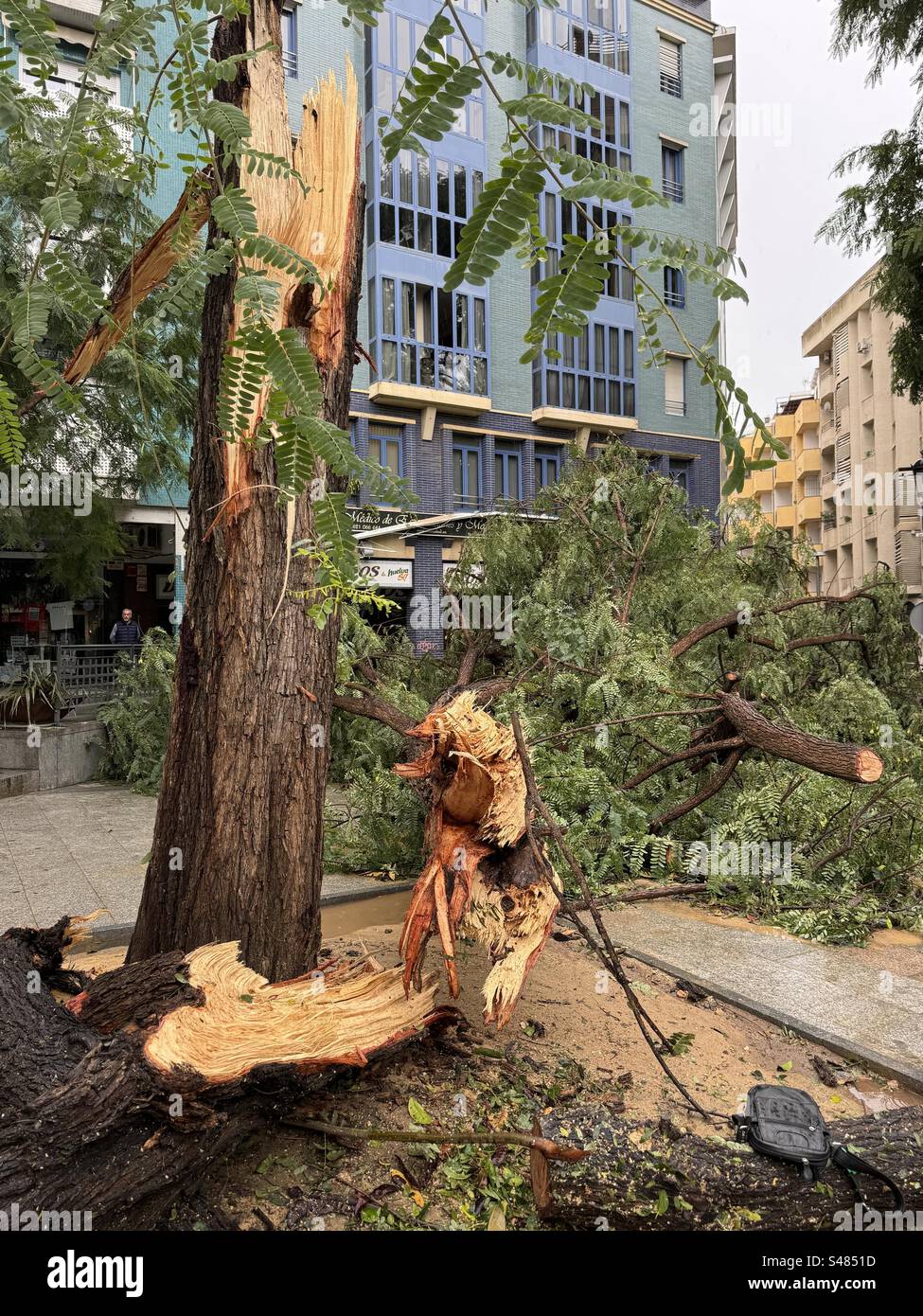 Damage from Storm Bernard in Huelva, Southern Spain, October 22nd 2023. Stock Photo