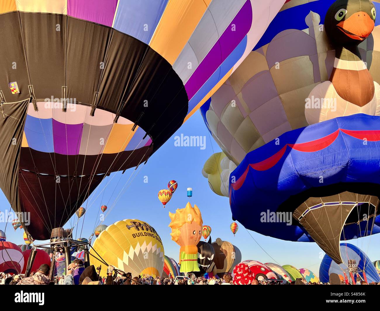 Hot air balloon festival in Albuquerque, New Mexico, hundreds of
