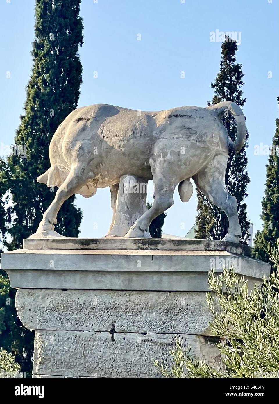 Marble bull statue stands in the grave area of Dionysios of Kollytos in the ancient Ketameikos Cemetery in Athens. - Smartphone Captured Stock Image