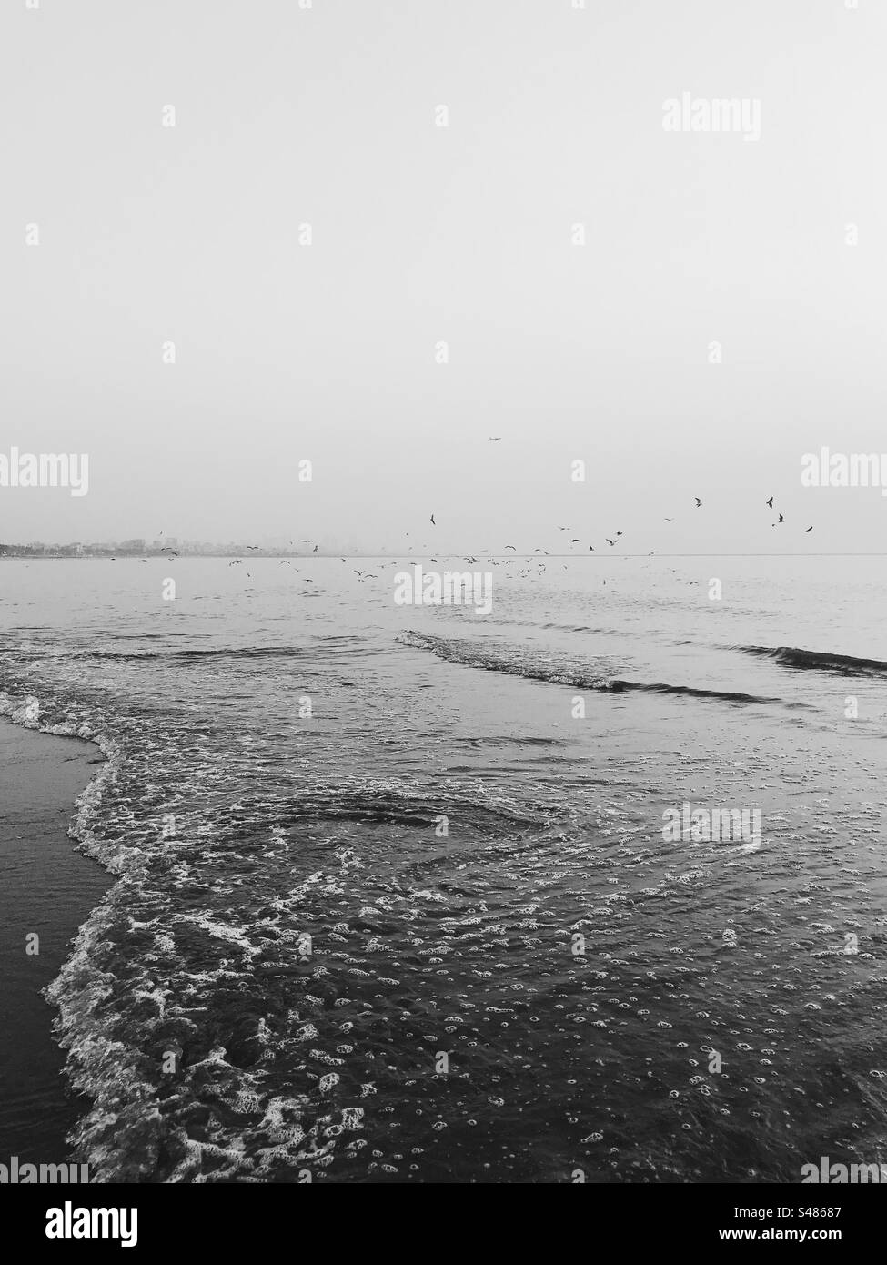 Beach with birds flying in the background - Smartphone Captured Stock Image Beach with birds flying in the background - Smartphone Captured Stock Image