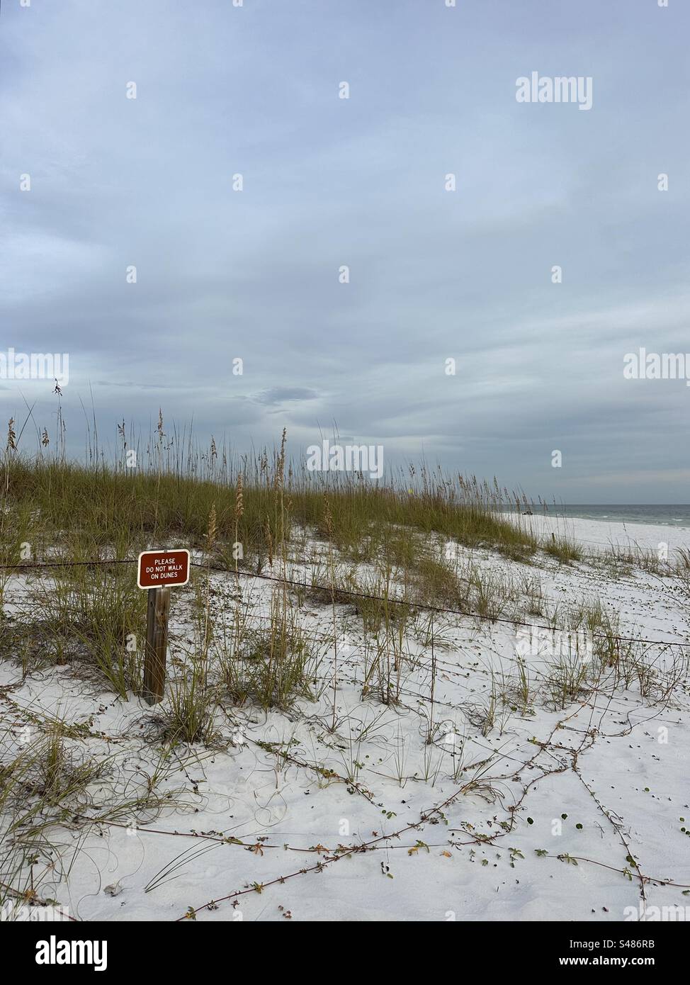 Beach sand dunes and sign at Henderson Beach State Park Florida Stock ...