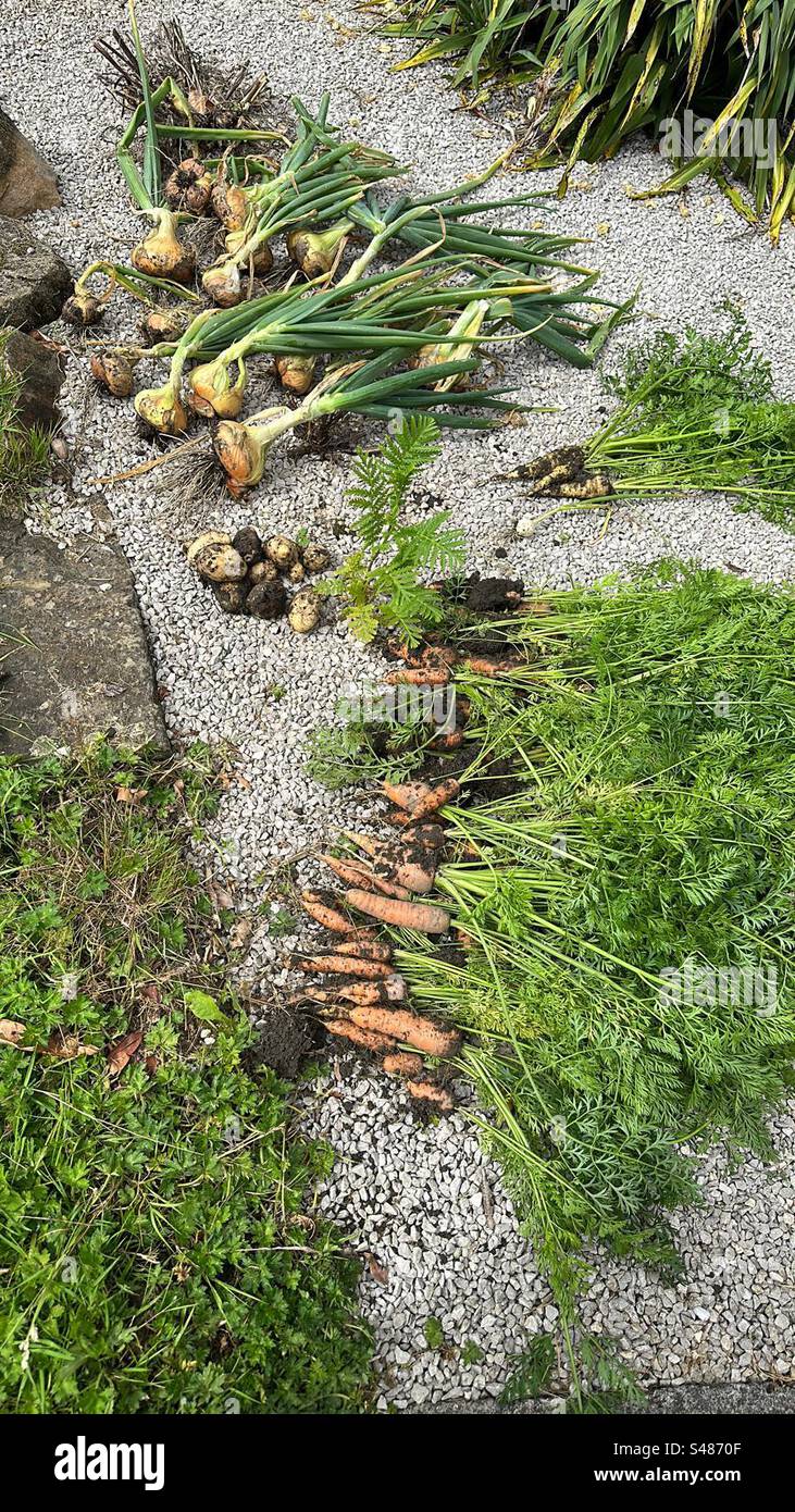 Harvest festival - Smartphone Captured Stock Image