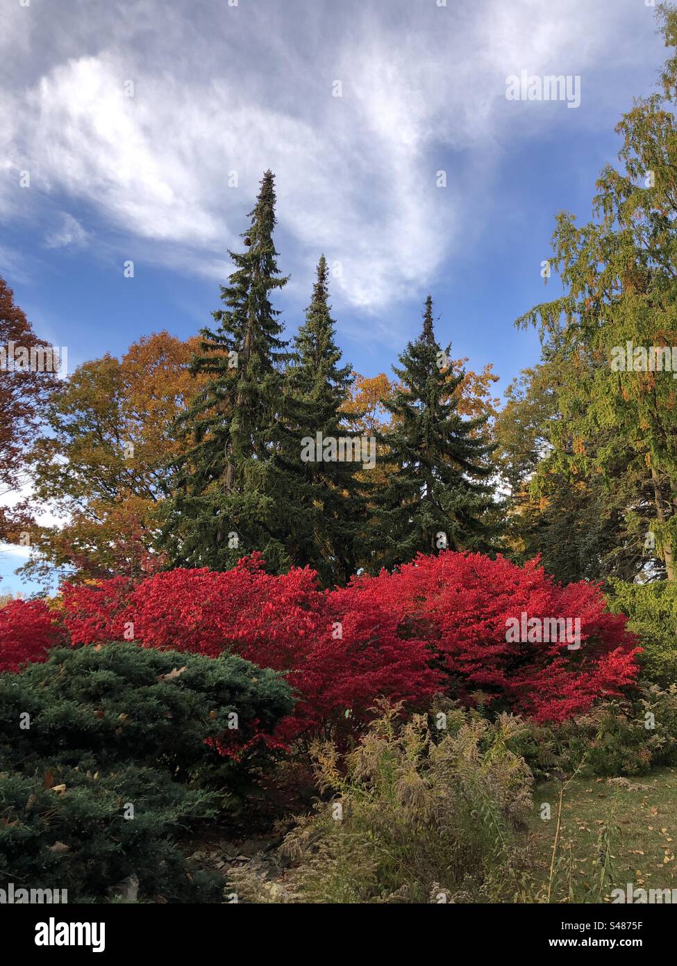 Beautiful autumn landscape. Stock Photo
