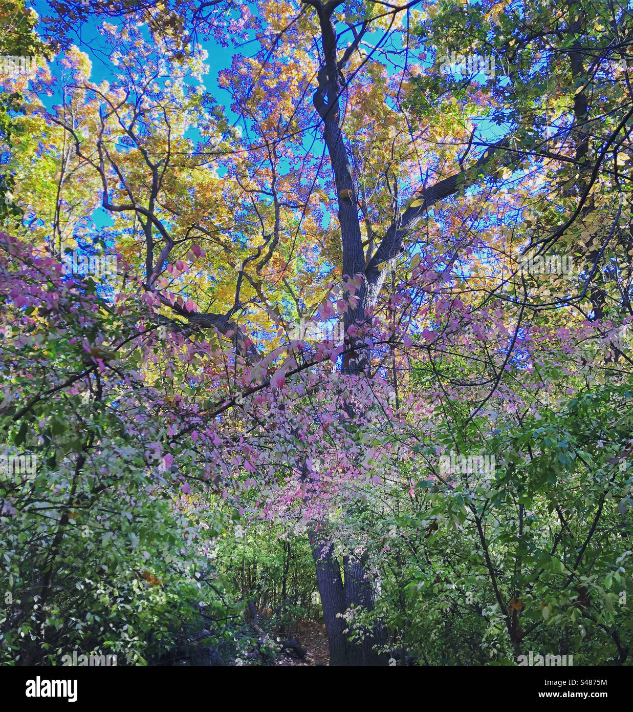 Outdoors day nature hi-res stock photography and images - Alamy