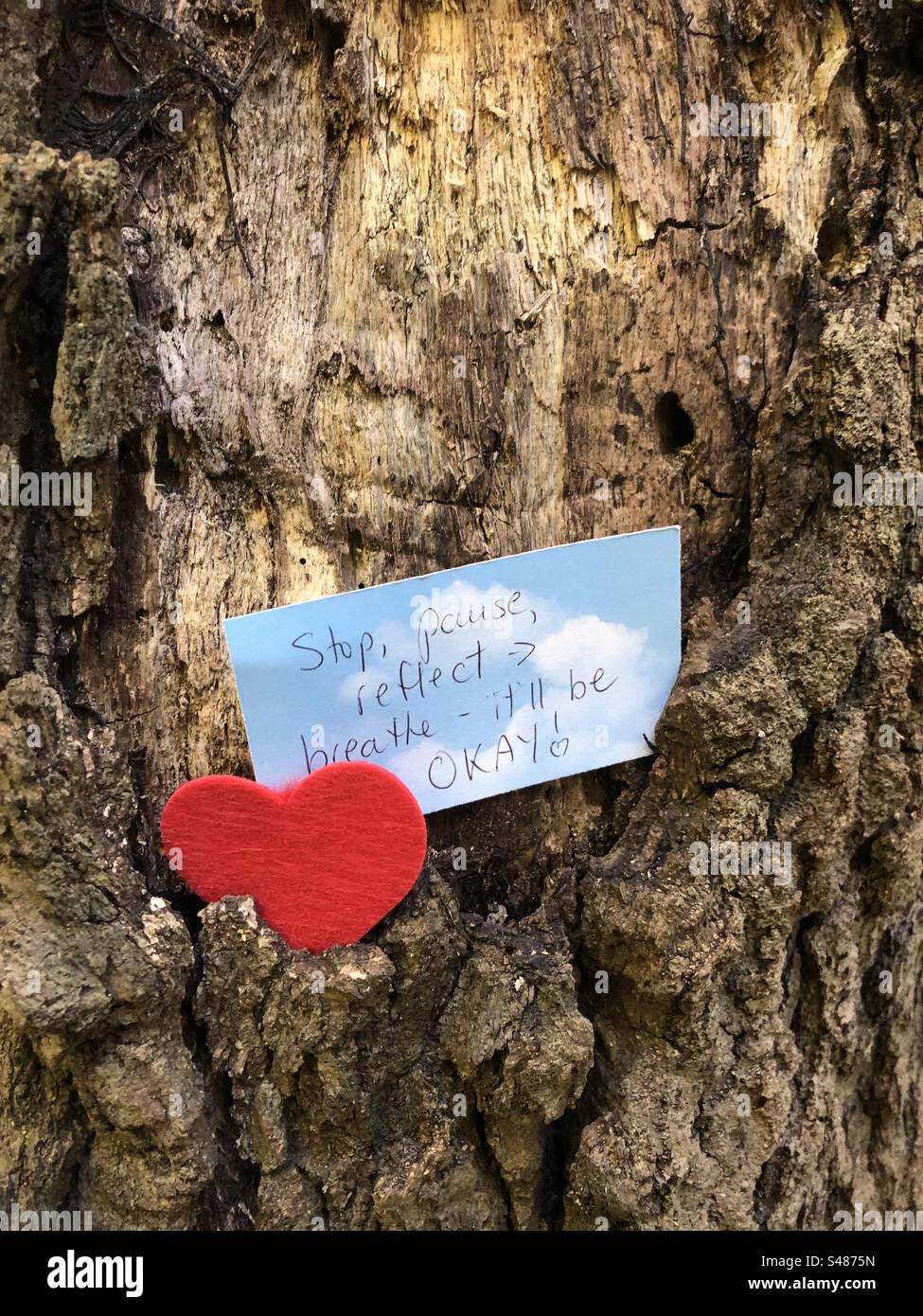 A red heart and handwritten note on a tree. - Smartphone Captured Stock Image