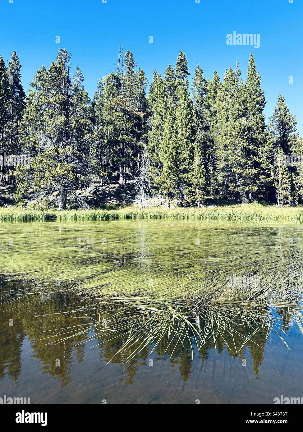 Sibley Lake @ Big Horn NRA Stock Photo - Alamy