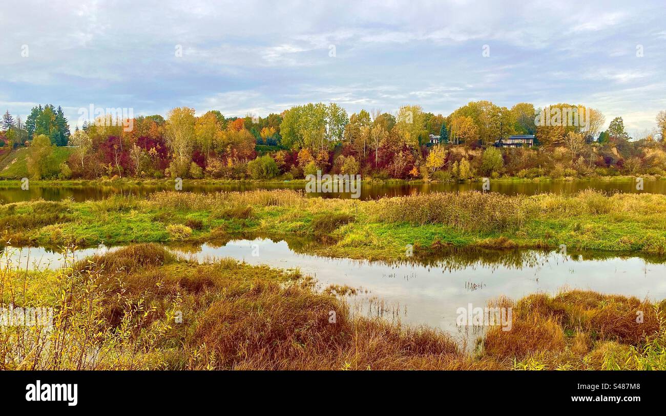 Narew river in Poland - Smartphone Captured Stock Image
