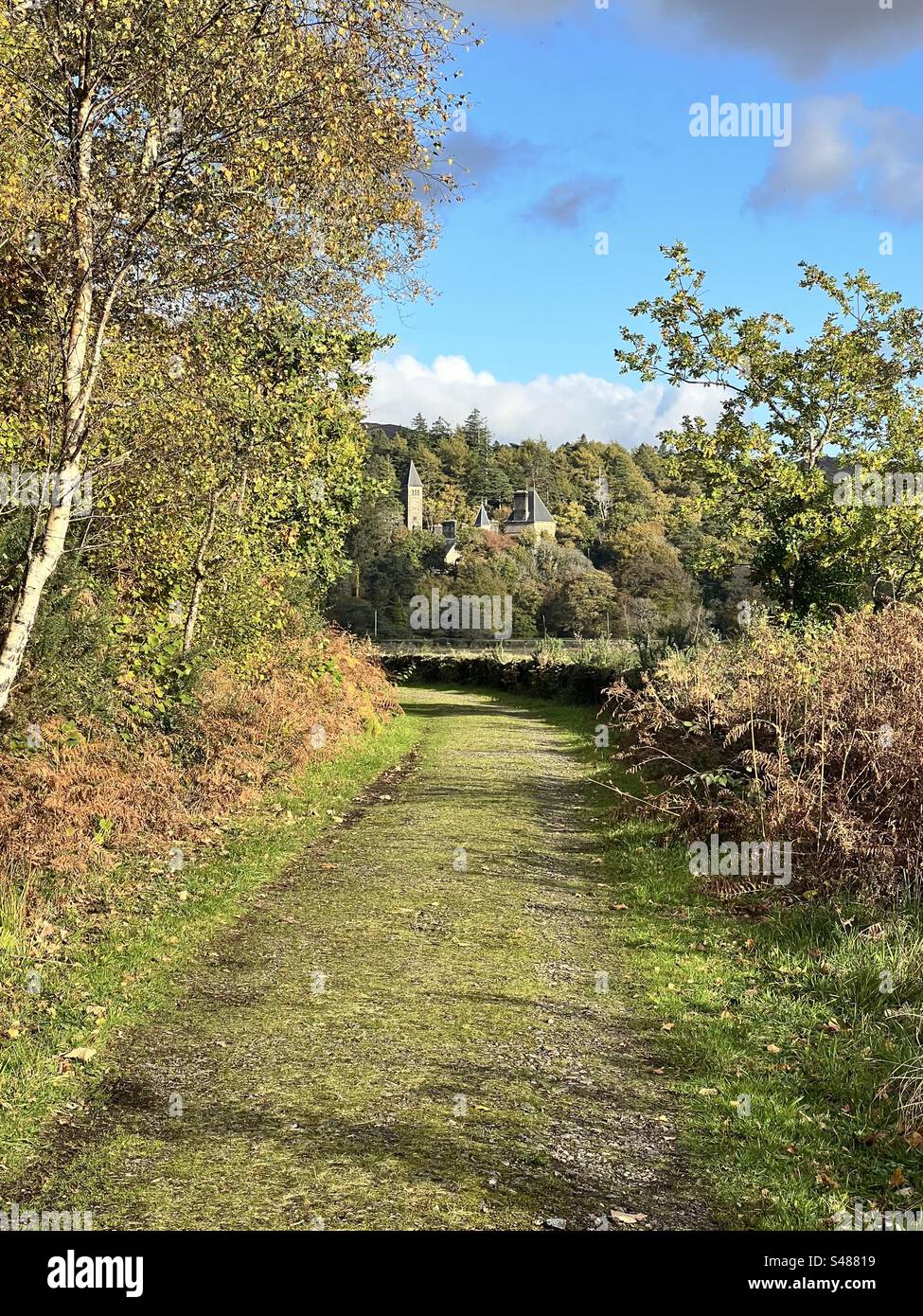 A pathway by Loch Aline in the autumn, with a castle visible in distance. Stock Photo