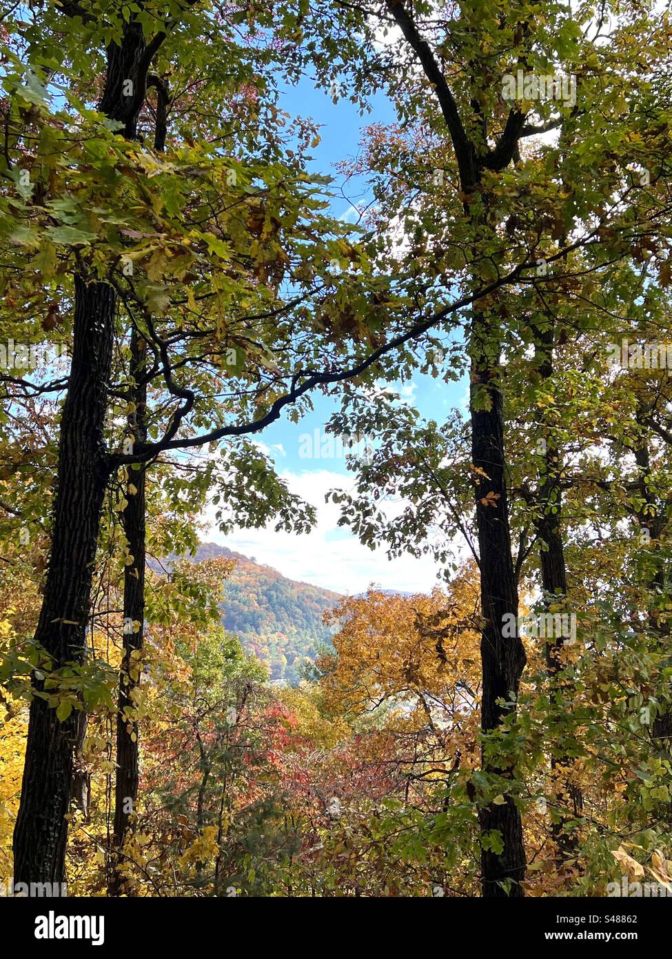 Autumn hike with fall foliage in Asheville, North Carolina Stock Photo