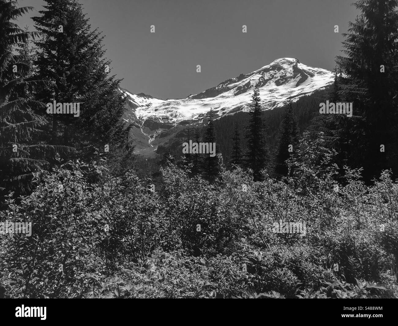 Black and white photo of Mt Baker in Washington, USA Stock Photo Alamy