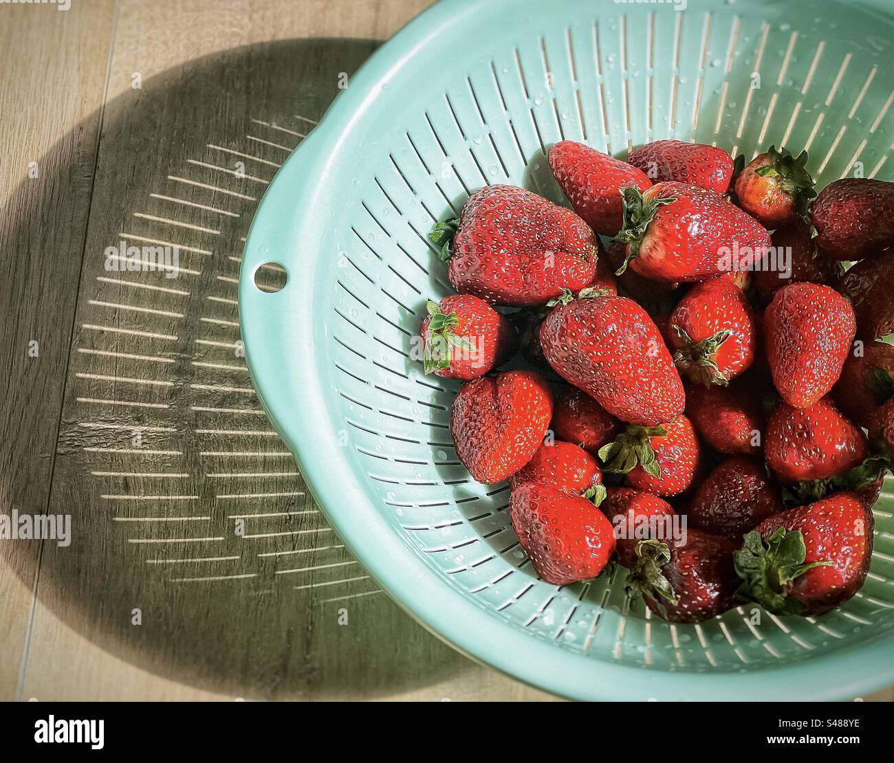 High angle, close-up view of red strawberries in green colander on wooden table in sunlight with strong shadows. - Smartphone Captured Stock Image