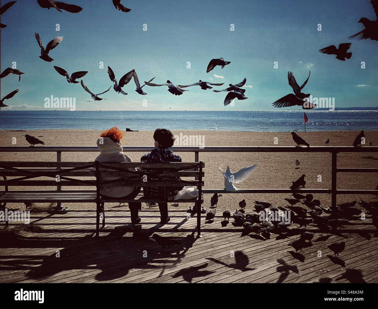 Couple sitting on a bench on the Boardwalk at Coney Island, surrounded by birds Stock Photo