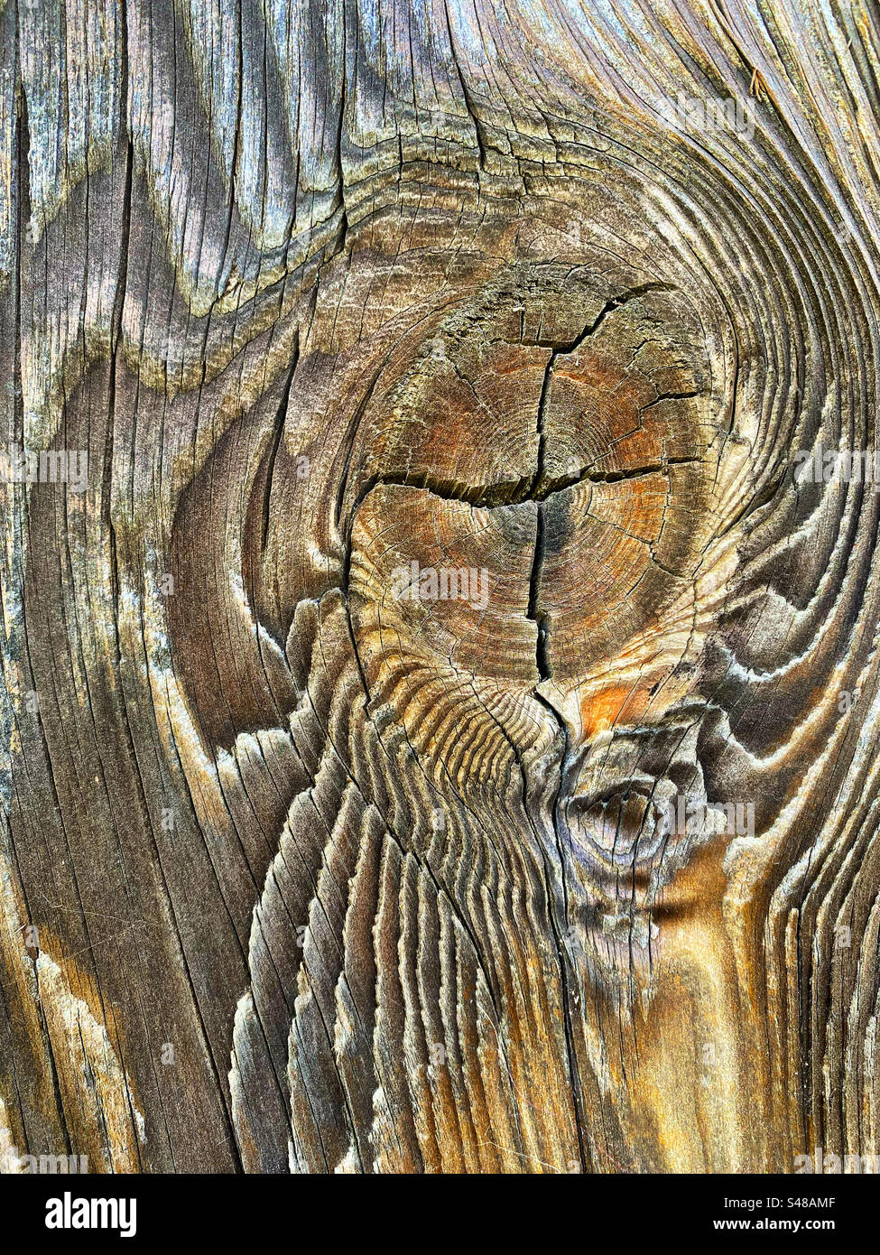 Knot in a weathered redwood board Stock Photo