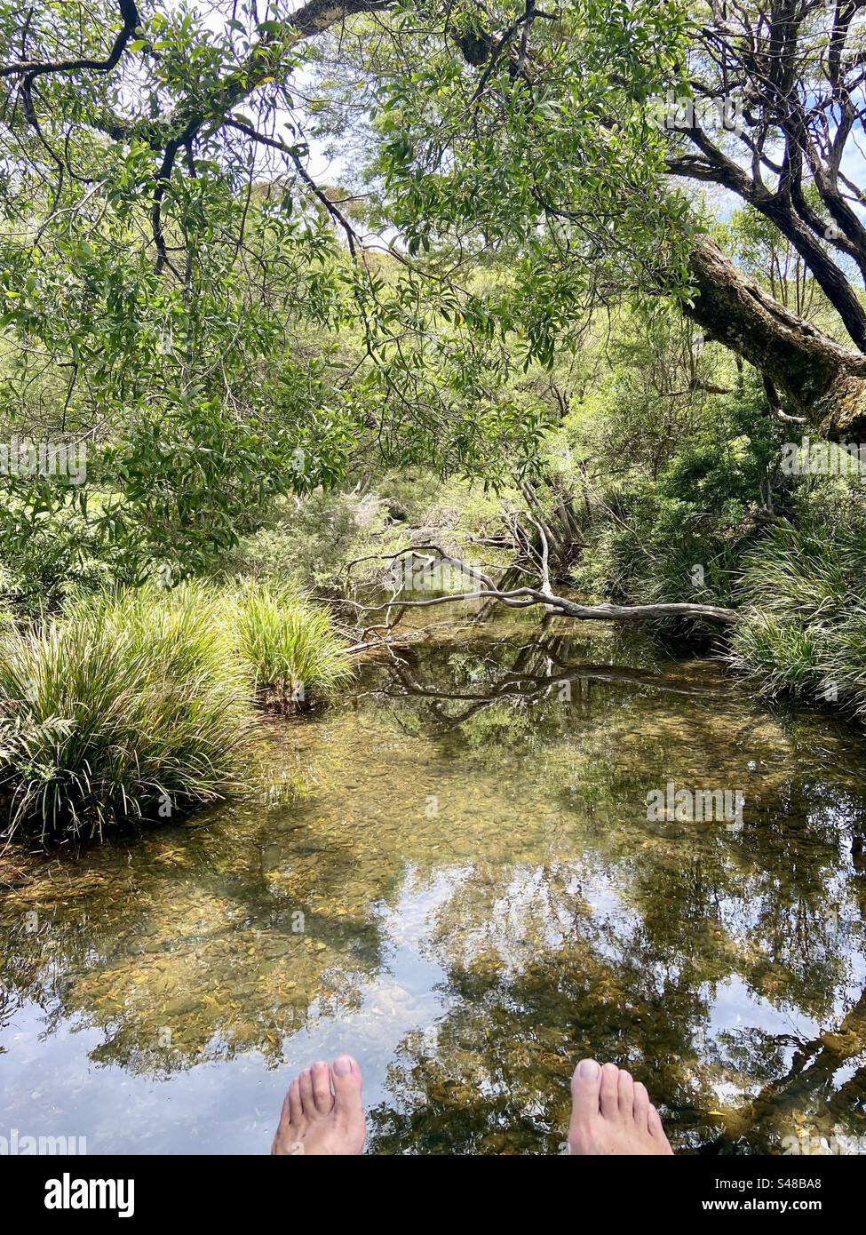 Small river Syndicate Trail near Bellingen NSW (Dorrigo mountains) Stock Photo