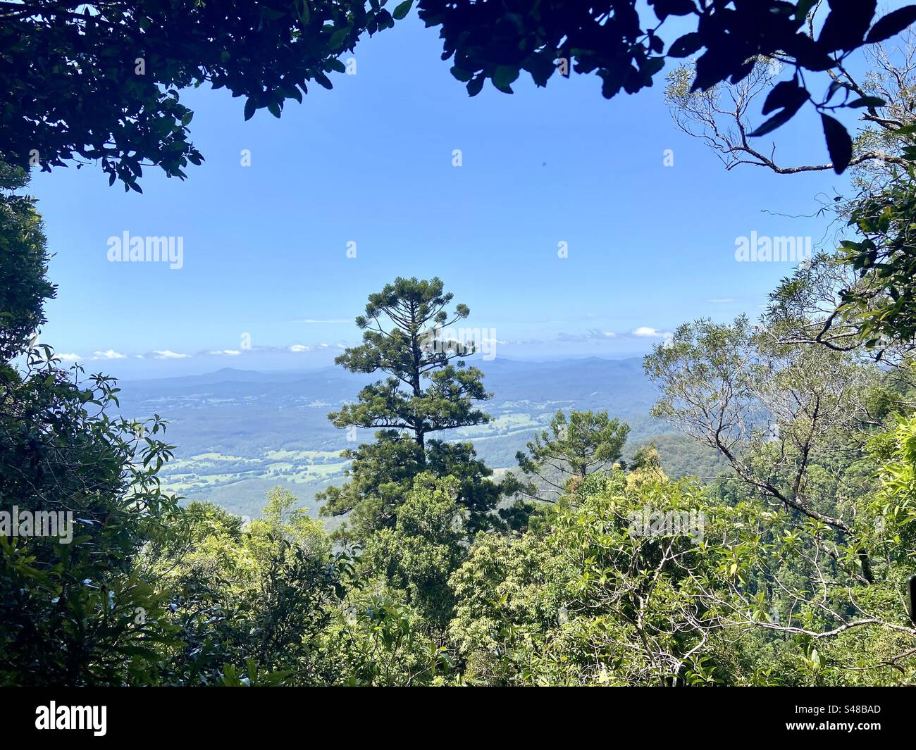 Lookout Syndicate Trail Dorrigo Mountains Bellingen NSW Australia Stock