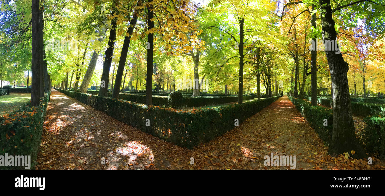 La Isla gardens in Autumn. Aranjuez, Madrid province, Spain. - Smartphone Captured Stock Image