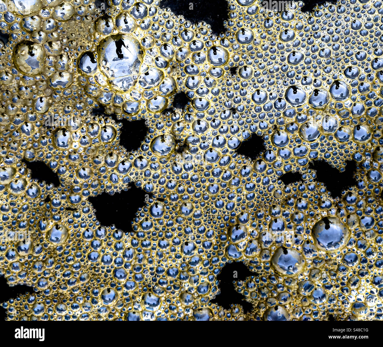 Close up of sea foam bubbles Stock Photo