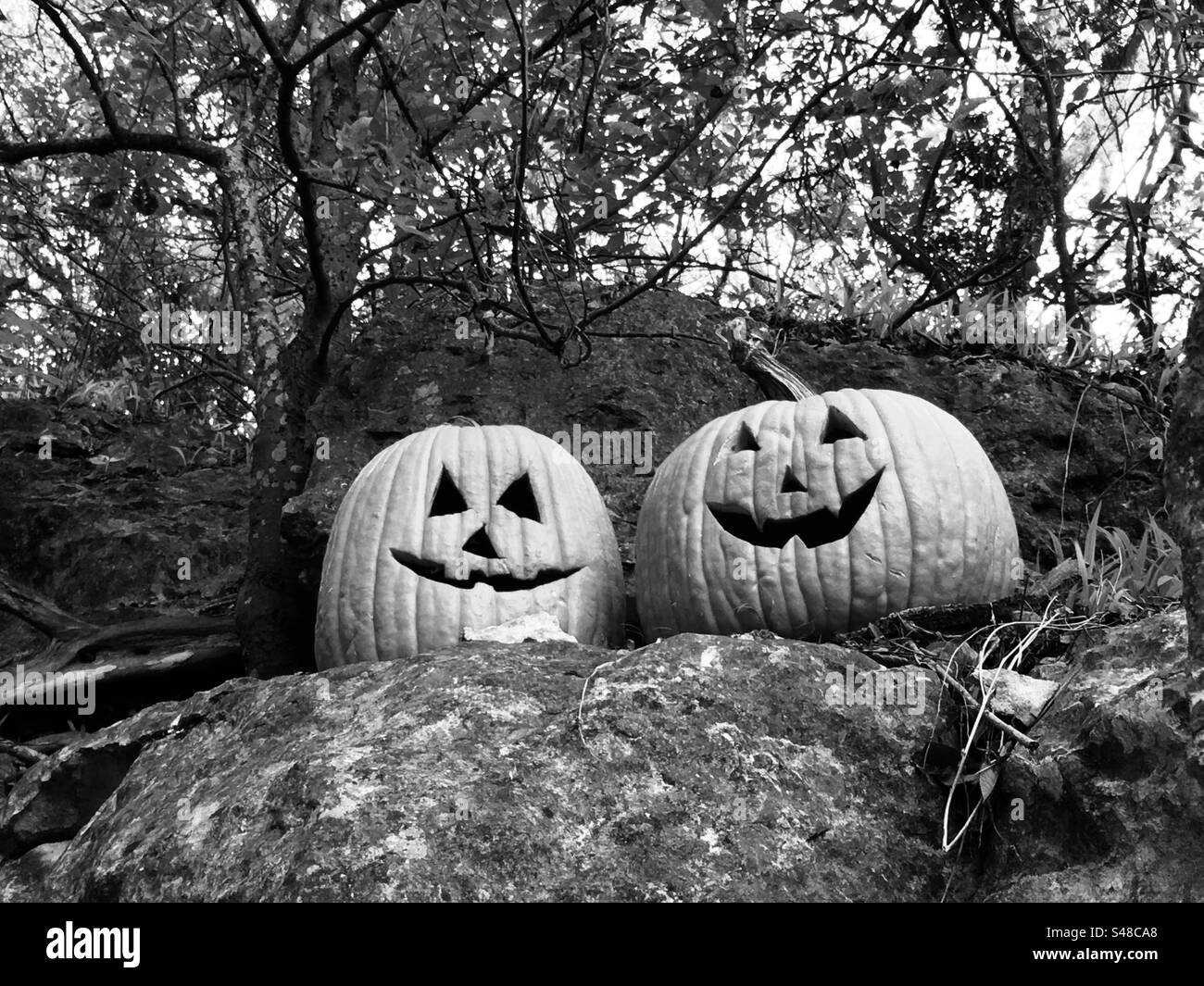 Pumpkin carving Black and White Stock Photos & Images Alamy