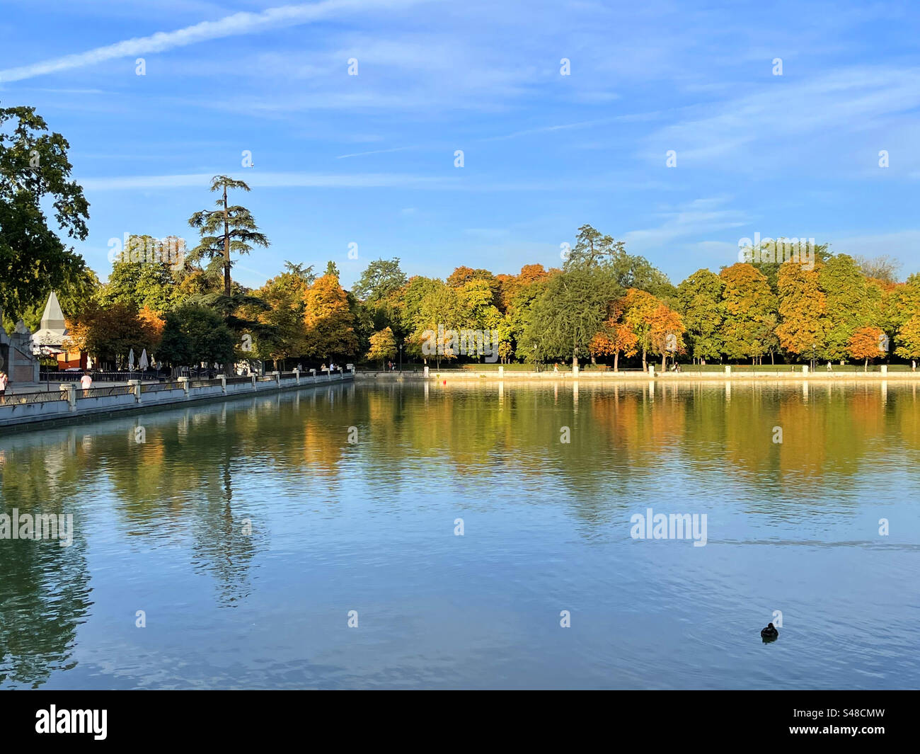 Pond in Autumn. El Retiro park, Madrid, Spain. - Smartphone Captured Stock Image
