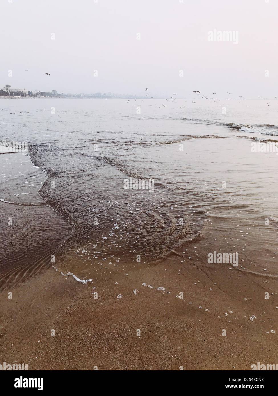 Birds flying over the ocean with Mumbai skyline in the background from Versova beach - Smartphone Captured Stock Image