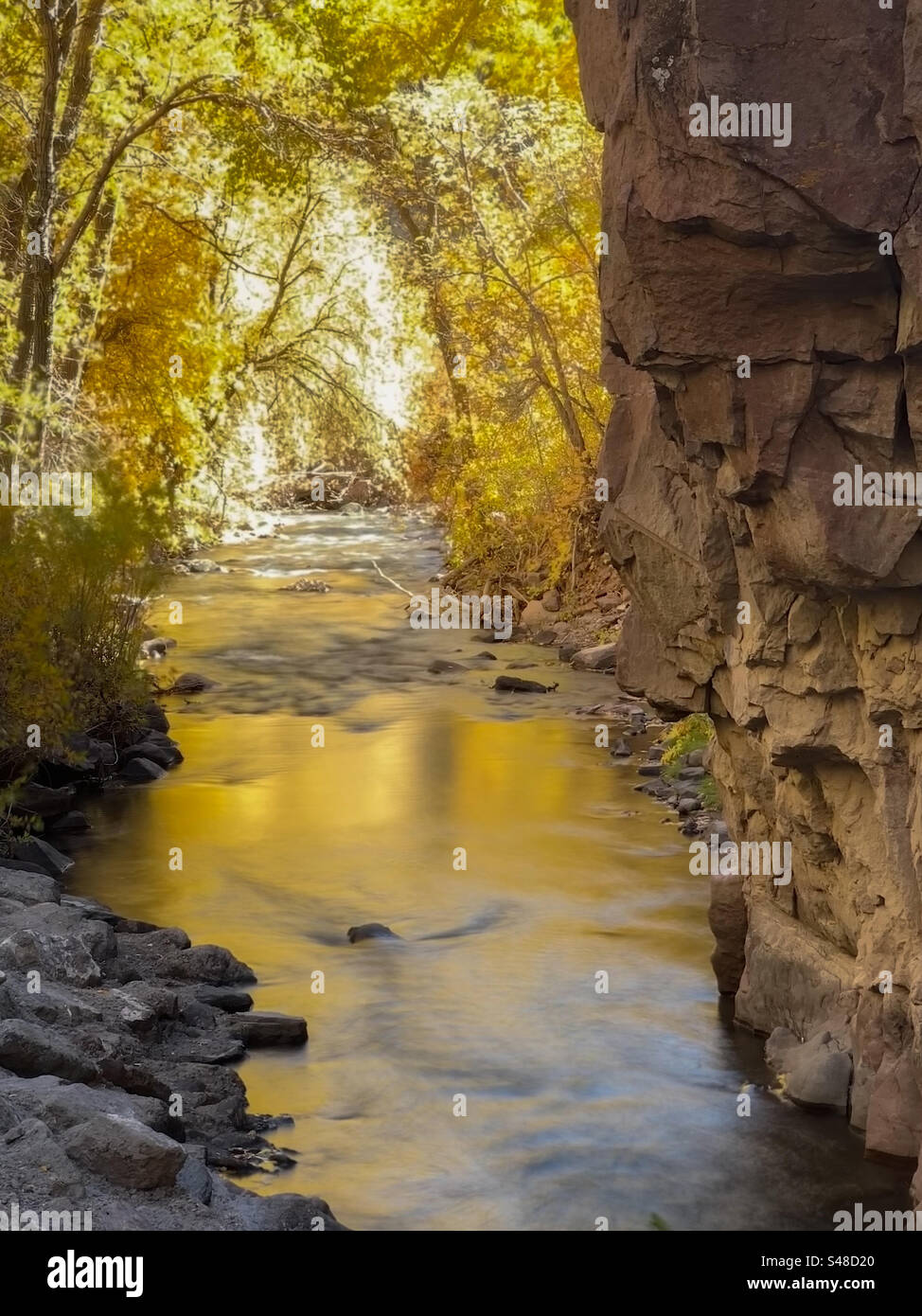 Fall colors in a stream in the Rockies - Smartphone Captured Stock Image