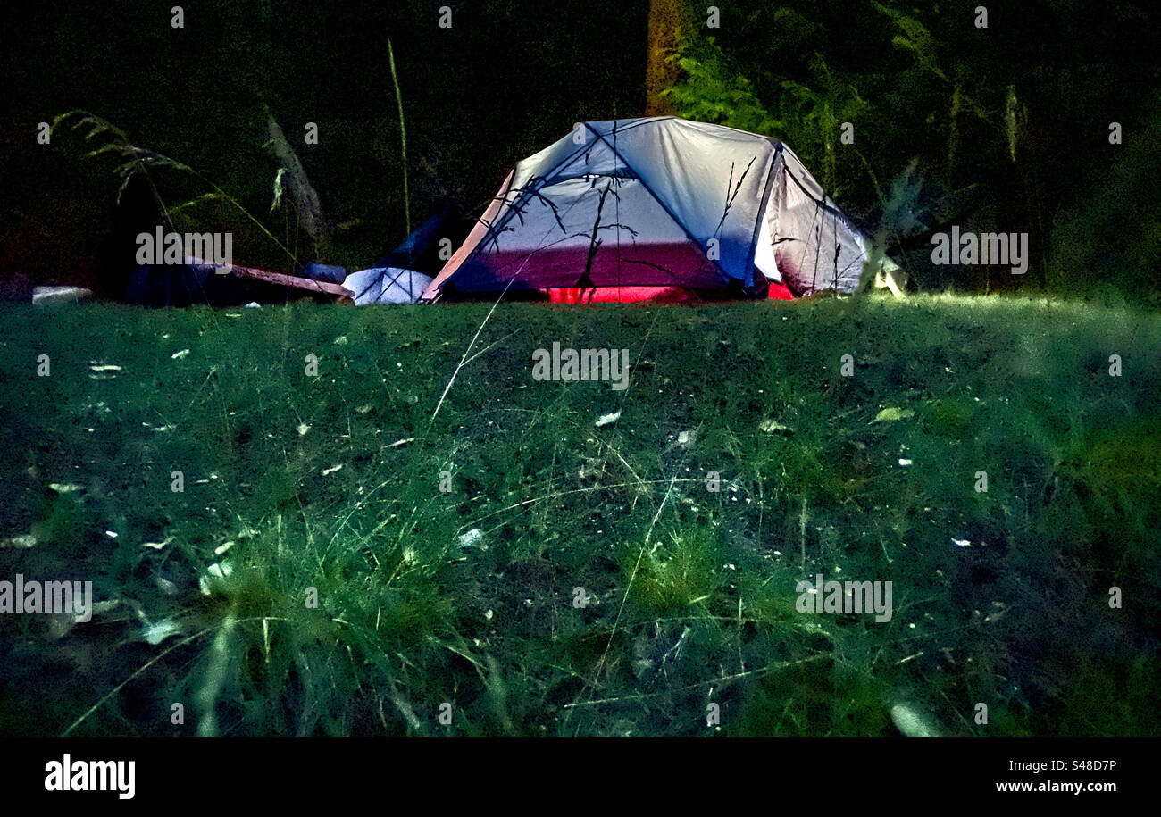 Camp at night - Smartphone Captured Stock Image